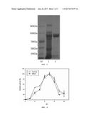 METHOD FOR PRODUCING A MINOR GINSENOSIDE USING A GINSENOSIDE GLYCOSIDASE diagram and image