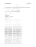 METHOD FOR PRODUCING A MINOR GINSENOSIDE USING A GINSENOSIDE GLYCOSIDASE diagram and image