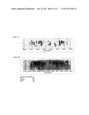 Electrophysiological assays using oocytes that express human enac and the     use of phenamil to improve the effect of enac enhancers in assays using     membrane potential reporting dyes diagram and image