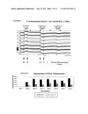 Electrophysiological assays using oocytes that express human enac and the     use of phenamil to improve the effect of enac enhancers in assays using     membrane potential reporting dyes diagram and image