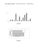 UV Associated mtDNA Fusion Transcripts and Methods and Uses Thereof diagram and image