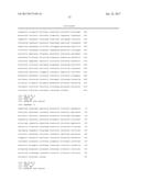 UV Associated mtDNA Fusion Transcripts and Methods and Uses Thereof diagram and image