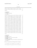 UV Associated mtDNA Fusion Transcripts and Methods and Uses Thereof diagram and image