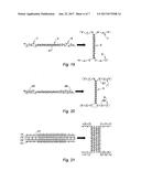 PREFORM FOR A CURVED COMPOSITE STIFFENER FOR AN AXISYMMETRIC PART SUCH AS     A COLLAR diagram and image