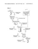 SYSTEMS AND METHODS FOR IDENTIFYING SUSPECT ILLICIT MERCHANTS diagram and image