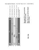 METHOD, COMPUTER READABLE STORAGE MEDIUM AND SYSTEM FOR PRODUCING AN     UNCERTAINTY-BASED TRAFFIC CONGESTION INDEX diagram and image
