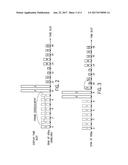 Wireless Display Sink Device diagram and image