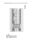 Integrated Circuit Containing DOEs of NCEM-enabled Fill Cells diagram and image