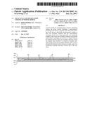 METAL SLUGS FOR DOUBLE-SIDED COOLING OF POWER MODULE diagram and image