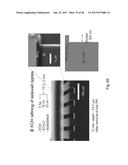 OPTICAL SYSTEMS FABRICATED BY PRINTING-BASED ASSEMBLY diagram and image