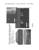 OPTICAL SYSTEMS FABRICATED BY PRINTING-BASED ASSEMBLY diagram and image