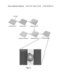 OPTICAL SYSTEMS FABRICATED BY PRINTING-BASED ASSEMBLY diagram and image