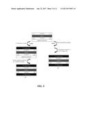 STRUCTURES AND PREPARATION METHODS FOR CATALYST COATED MEMBRANES FOR FUEL     CELLS diagram and image