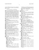 Lobularia plant named   DLOBRASTRM  diagram and image