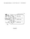 METHOD AND APPARATUS FOR SUPPORTING MULTIPLE SERVICES IN ADVANCED MIMO     COMMUNICATION SYSTEMS diagram and image