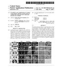 SYNTHESIS AND COMPOSITION OF AMINO ACID LINKING GROUPS CONJUGATED TO     COMPOUNDS USED FOR THE TARGETED IMAGING OF TUMORS diagram and image