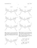 SYNTHESIS AND COMPOSITION OF AMINO ACID LINKING GROUPS CONJUGATED TO     COMPOUNDS USED FOR THE TARGETED IMAGING OF TUMORS diagram and image