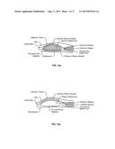 Materials For Soft And Hard Tissue Repair diagram and image