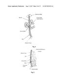 Materials For Soft And Hard Tissue Repair diagram and image