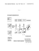 DIRECTIONAL MIMO ANTENNA USING ELECTRO-POLARIZATION diagram and image