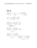 MACROCYCLIC BENZODIAZEPINE DIMERS, CONJUGATES THEREOF, PREPARATION AND     USES diagram and image