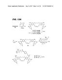 MACROCYCLIC BENZODIAZEPINE DIMERS, CONJUGATES THEREOF, PREPARATION AND     USES diagram and image