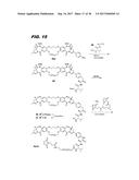 MACROCYCLIC BENZODIAZEPINE DIMERS, CONJUGATES THEREOF, PREPARATION AND     USES diagram and image