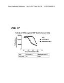 MACROCYCLIC BENZODIAZEPINE DIMERS, CONJUGATES THEREOF, PREPARATION AND     USES diagram and image