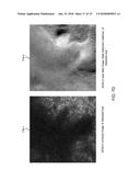 System and Method for Eye Tracking During Retinal Imaging diagram and image