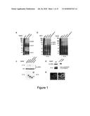 PCSK9 INHIBITORY POLYPOLYPEPTIDES AND METHODS OF USE diagram and image