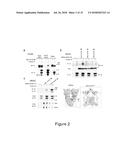 PCSK9 INHIBITORY POLYPOLYPEPTIDES AND METHODS OF USE diagram and image