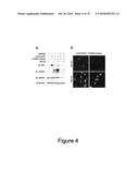 PCSK9 INHIBITORY POLYPOLYPEPTIDES AND METHODS OF USE diagram and image