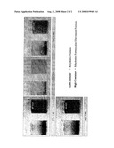 Effervescent Acidified Rehydration Preparations diagram and image