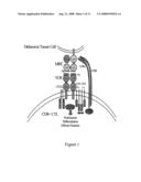 MART-1 T CELL RECEPTORS diagram and image