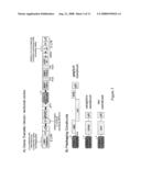 MART-1 T CELL RECEPTORS diagram and image