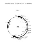 Complementing cell lines diagram and image