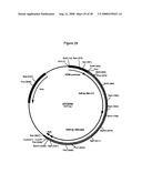 Complementing cell lines diagram and image