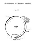 Complementing cell lines diagram and image