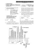 HUMAN RECEPTOR PROTEINS; RELATED REAGENTS AND METHODS diagram and image