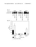 Use Of Cox-2 Inhibitor to Prevent T-Cell Anergy Induced By Dendritic Cell Therapy diagram and image