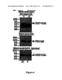 Functional Variant of Lymphoid Tyrosine Phosphatase is Associated with Autoimmune Disorders diagram and image