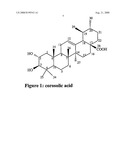 Pharmaceutically Active Extracts of Vitex Leucoxylon, a Process of Extracting the Same and a Method of Treating Diabetes and Inflammatory Diseases Therewith diagram and image