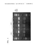 METHOD OF INCREASING SPECIFICITY OF NUCLEIC ACID HYBRIDIZATION USING ZWITTERIONIC COMPOUND diagram and image