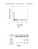 METHOD FOR DETECTION OF BIOMARKERS FOR EXPOSURE TO STACHYBOTRYS diagram and image