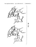 Catalytic Domains Of Beta(1,4)-Galactosyltransferase I Having Altered Metal Ion Specificity diagram and image