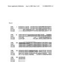 POLYNUCLEOTIDE ENCODING AN INTRACELLULAR ESTRADIOL BINDING PROTEIN diagram and image