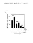 POLYNUCLEOTIDE ENCODING AN INTRACELLULAR ESTRADIOL BINDING PROTEIN diagram and image