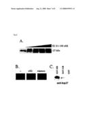 POLYNUCLEOTIDE ENCODING AN INTRACELLULAR ESTRADIOL BINDING PROTEIN diagram and image