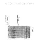 Active surface coupled polymerases diagram and image