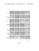 Enhanced Bio-Assays By Using Gradient Nanotopgraphy diagram and image